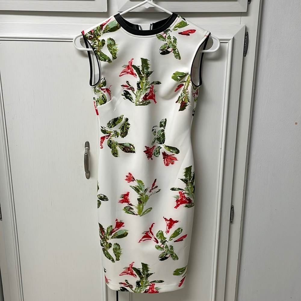 Petite -size Floral Dress with black around the collar and arms.
